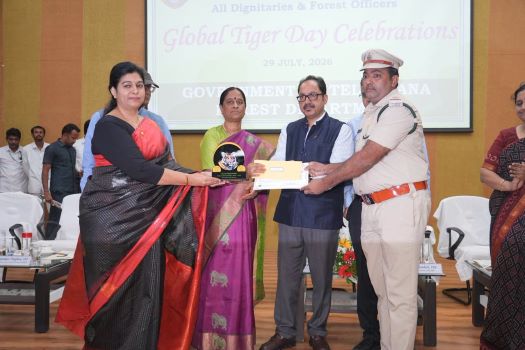 world Tiger day